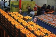2 هزار و 650 تن سیب و پرتقال برای توزیع در عید خریداری شد