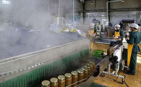 چرخ بزرگترین کارخانه تولید زیتون ایران در دستان آسیب دیدگان اجتماعی