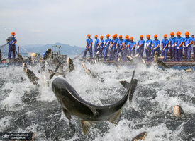 منتخب تصاویر امروز جهان - 2 مهر 1401