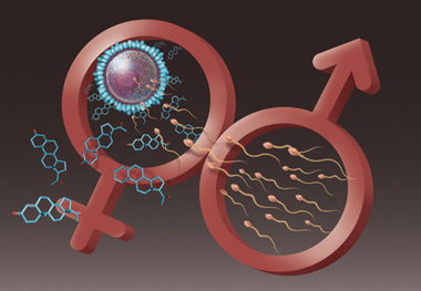 کرونا بر باروری مردان چه تاثیری دارد؟