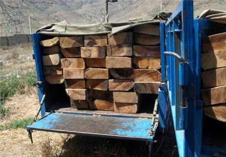 2 محموله چوب قاچاق در گیلانغرب کشف شد