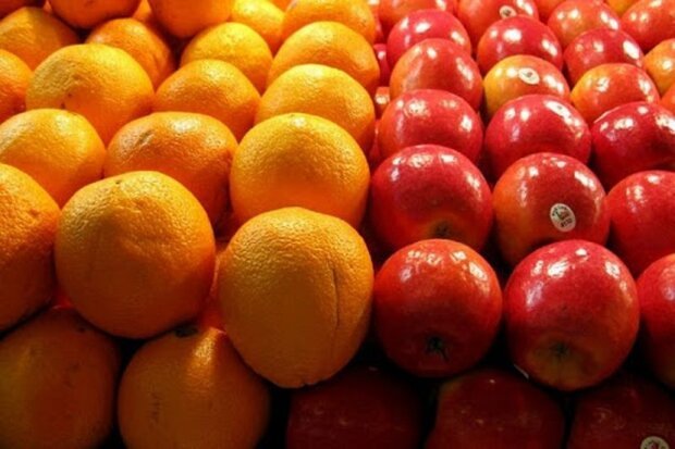 بلاتکلیفی هزار تن سیب درختی در سردخانه های خراسان شمالی