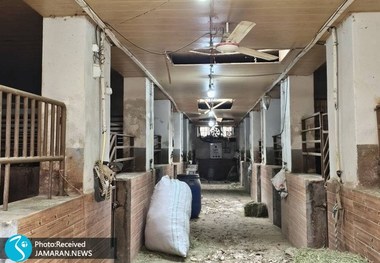 آسیب به فدراسیون چوگان به دلیل حملات آمریکایی- صهیونی