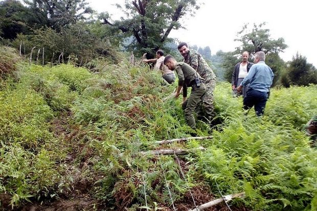 رفع تصرف اراضی‌ ملی و دستگیری متجاوزان به جنگل در آستارا