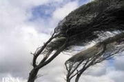 پیش بینی وزش باد شدید در البرز و ضرورت اقدامات پیشگیرانه