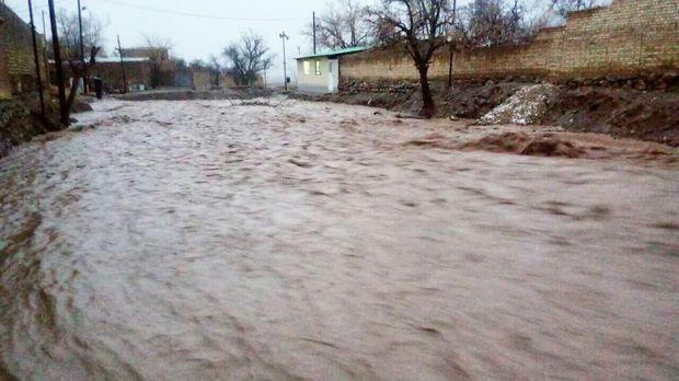 ۲۱۴ میلیارد ریال برای جبران خسارت سیل استان یزد اختصاص یافت