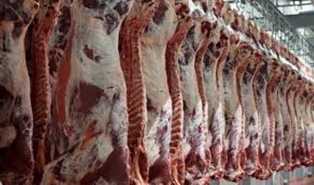 قیمت گوشت قرمز در خراسان شمالی کاهش می یابد