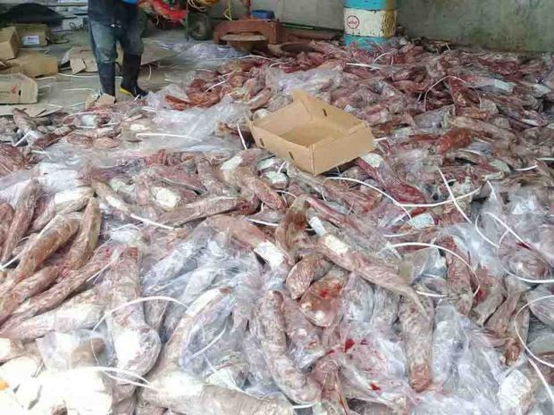 دامپزشکی شیراز 31 مرغ فروشی و قصابی را بست