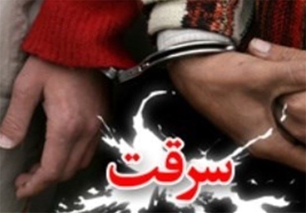 اعضای یک باند سرقت خانوادگی در استان گلستان دستگیر شدند