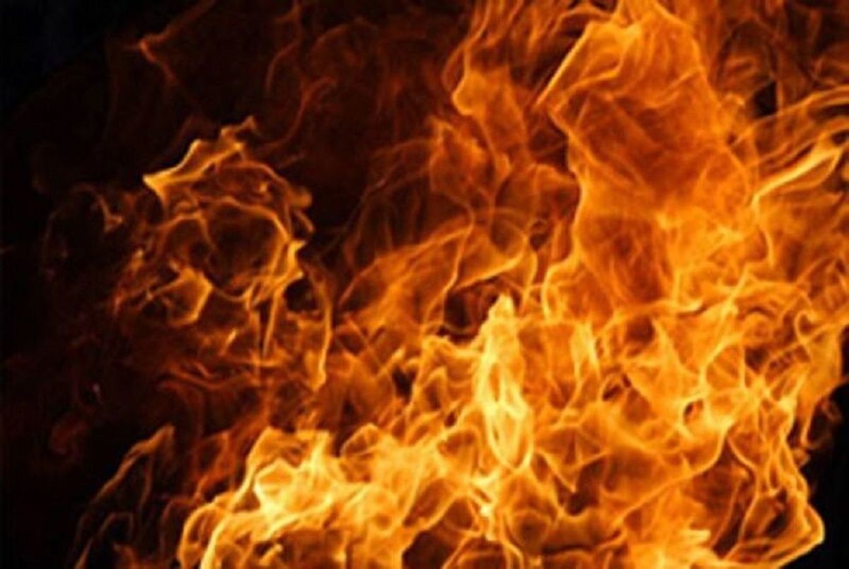 آتش سوزی در پارک آبی گرمدره مهار شد + فیلم