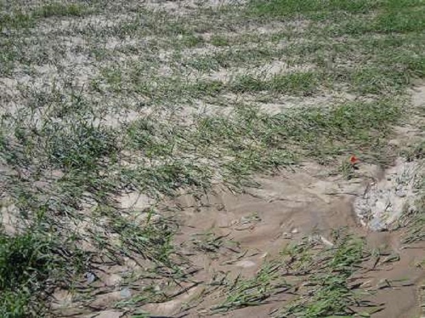 خسارت بیش از یک میلیارد تومانی سیل به بخش کشاورزی سوادکوه