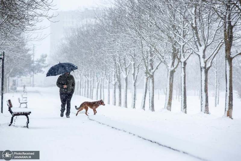 منتخب تصاویر امروز جهان- 16 دی