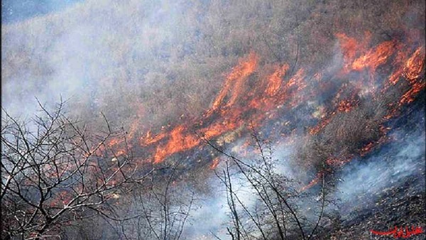 100 هکتار از جنگل‌ها و مراتع بویراحمد در آتش سوخت حجم آتش‌سوزی‌ها روبه افزایش است  پول برای خرید آب معدنی نداریم