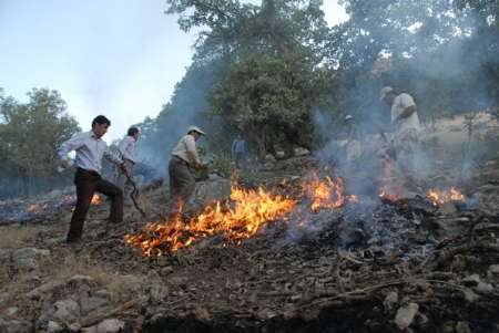 شناسایی عامل آتش سوزی جنگل‌ها و مراتع روستای شوش در باشت