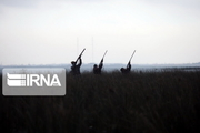 دستگیری سه شکارچی متخلف در فاروج  خراسان شمالی