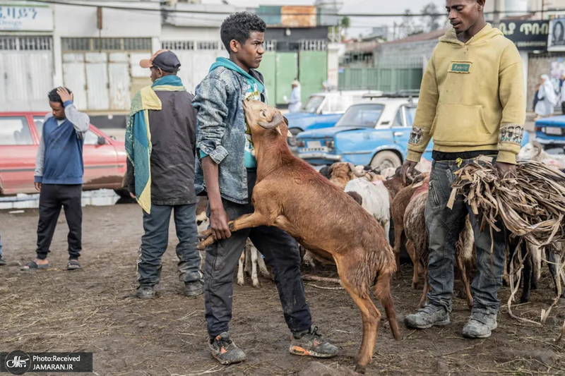 منتخب تصاویر امروز جهان - 21 شهریور 1401
