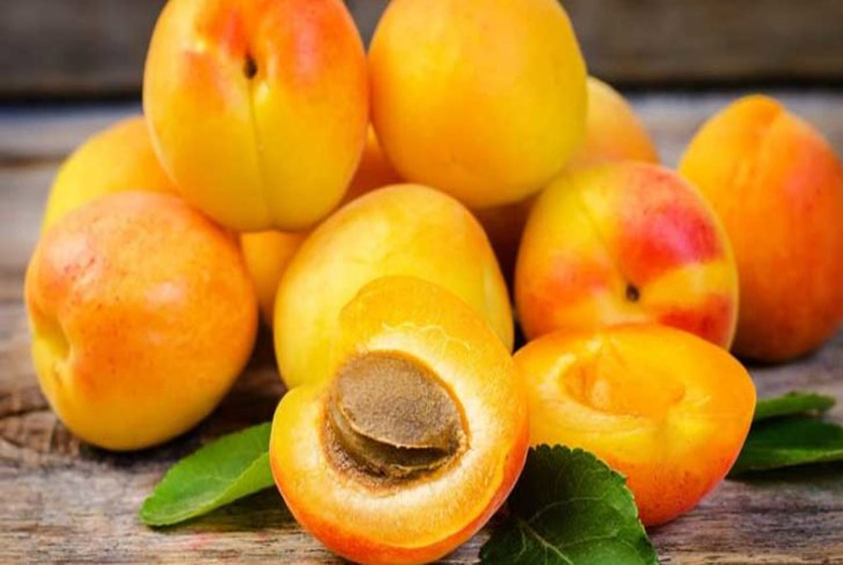 نکاتی برای خرید و نگهداری "زردآلو"، میوه خوش عطر تابستانی