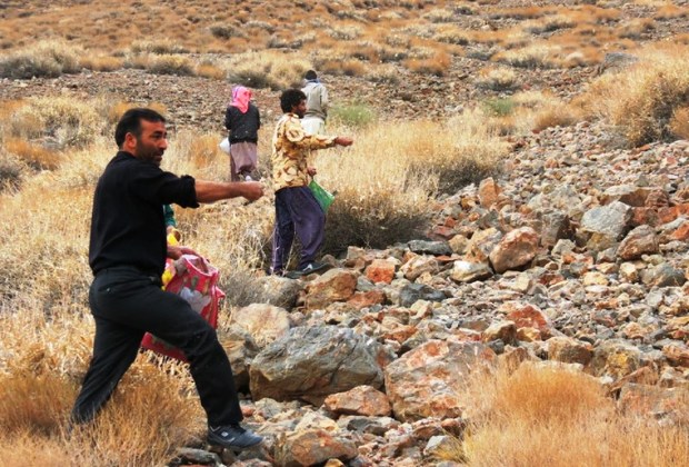 بذرپاشی در 50 هکتار مراتع شهرستان مهریز آغاز شد