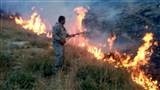 مهار کامل حریق منطقه حفاظت شده سیوک پس از 11 ساعت  67 هکتار از جنگلها در آتش سوخت