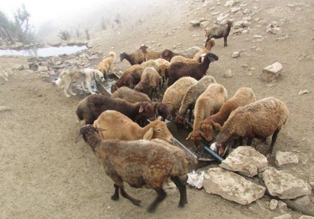 ۹۲ دستگاه آبشخور فلزی در مراتع کردستان نصب می‌شود