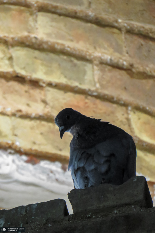 گنبد علویان یادگار دوران سلجوقی