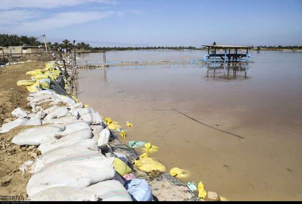 سیلاب به آبزی پروران خوزستان و لرستان خسارات سنگینی وارد کرد