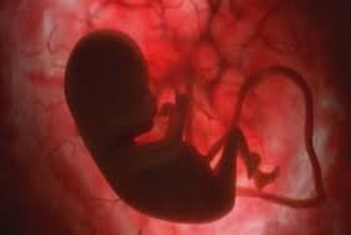 ژنتیک، علت اصلی سقط جنین در سه ماهه‌ی نخست بارداری