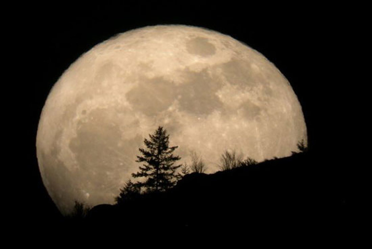 آیا زندگی روی کره ماه محقق شده است؟