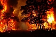 85 درصد آتش سوزی جنگل ها منشا انسانی دارد