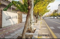 شعارنویسی روی دیوار سفارت انگلیس در تهران (2)