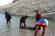شنا در دریاچه سد ساوه و نقاط پائین دستی آن جان 5 نفر را گرفته است