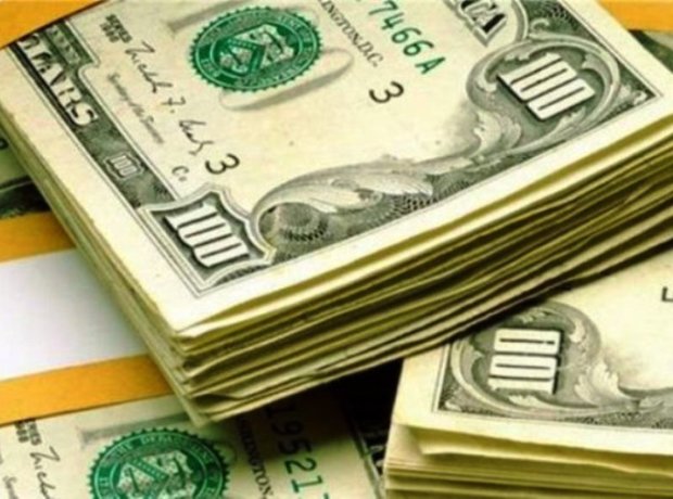 2 قاچاقچی دلار در کردستان به پرداخت جریمه نقدی محکوم شدند