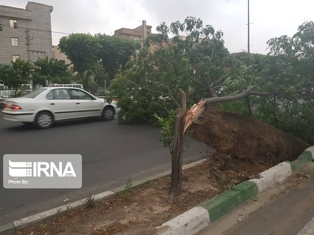 وقوع طوفان برق ۱۶ نفطه استان کرمانشاه را قطع کرد