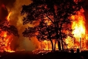 قصه پردرد آتش سوزی جنگل های کهگیلویه و بویراحمد