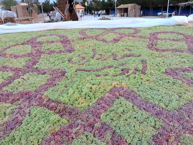 بازدید 200 هزار نفر از جشنواره انگور ارومیه  افزایش 82 درصدی نسبت به دوره قبل
