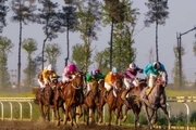 62 اسب در هفته پنجم کورس بهاره گنبد کاووس رقابت کردند