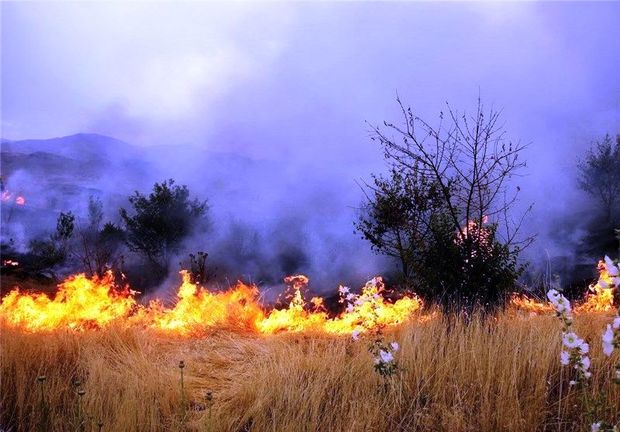 2 هکتار از گندمزارهای خرم آباد در آتش سوخت