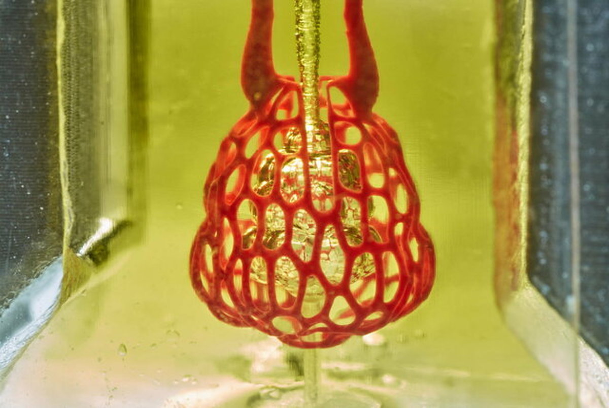 چاپ ۳ بعدی اندام‌ها و بافت‌ شبکه‌های عروقی
