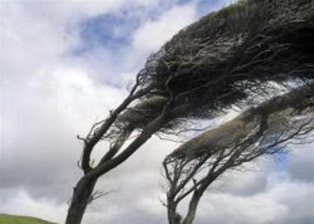 تند باد با سرعت 62 کیلومتر در مهاباد، 60 کیلومتر در بوکان