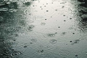 بارش باران در ۱۰ شهر خراسان رضوی