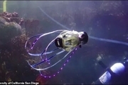 ساخت یک ربات زیرآبی با الهام از ماهی مرکب