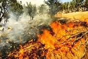 اراضی منابع طبیعی شمیرانات در خطر آتش سوزی قرار دارند