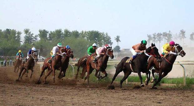 52 اسب در هفته هشتم کورس بهاره گنبدکاووس رقابت کردند