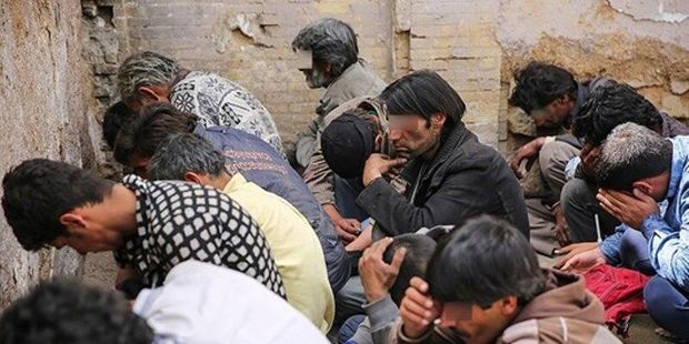 ۲۲۰ معتاد متجاهر از دره فرحزاد جمع آوری شدند