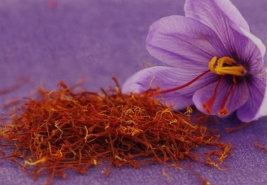  زعفران در بورس چگونه قیمت گذاری می‌شود؟
