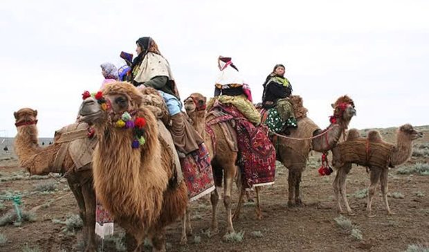 کوچ عشایر استان اردبیل دوشنبه آغاز می شود