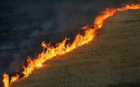 چهار هکتار از اراضی ملی استان قزوین در آتش سوخت