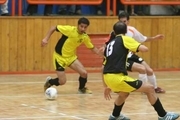 رقابت های ورزشی شهرداری های استان های جنوب کشور در شیراز آغاز شد
