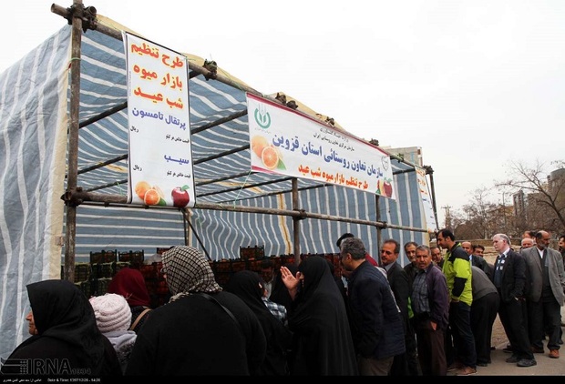 مرحله دوم  عرضه میوه عید ستاد تنظیم بازار در قزوین آغاز شد