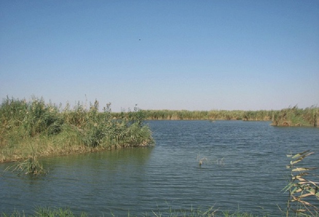 آبگیری دائمی تالاب هورالعظیم راه کنترل سیلاب خوزستان است